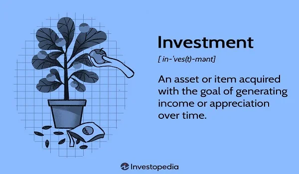 Investment Opportunity Review